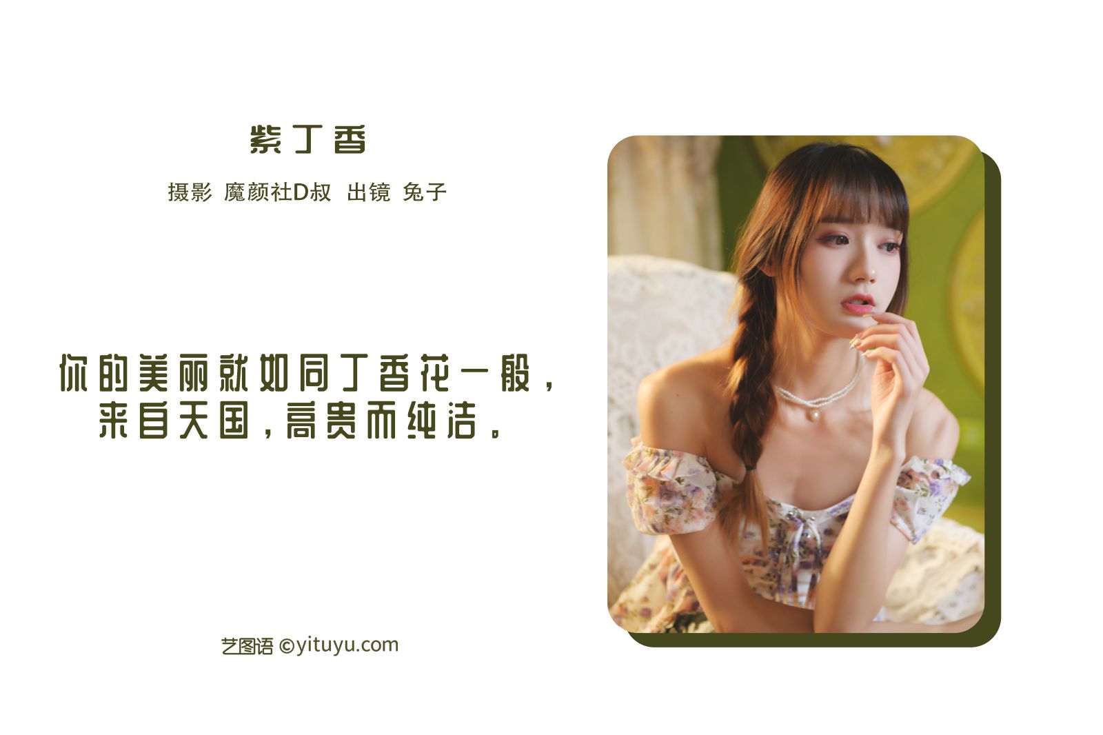 图片[2]-紫丁香 兔子不吃胡萝卜-COS世界