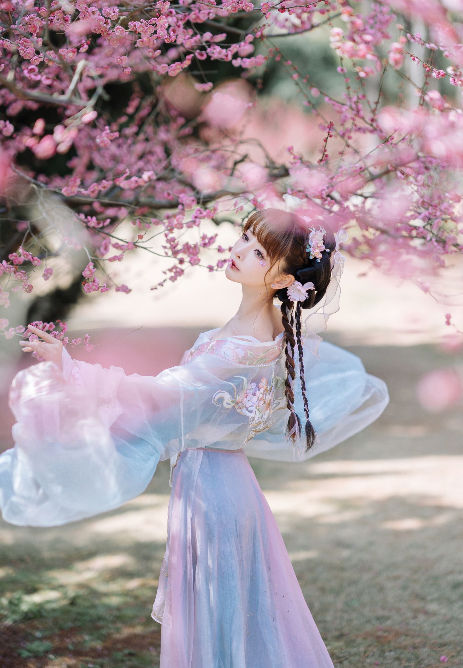 图片[5]-紫氯氯 二月梅花-COS世界