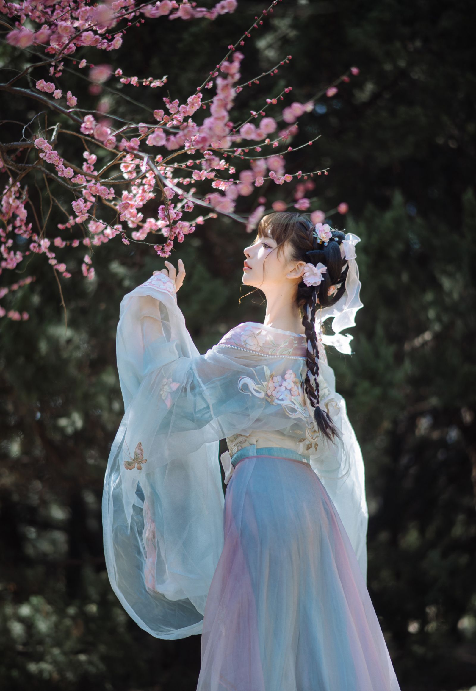 图片[4]-紫氯氯 二月梅花-COS世界
